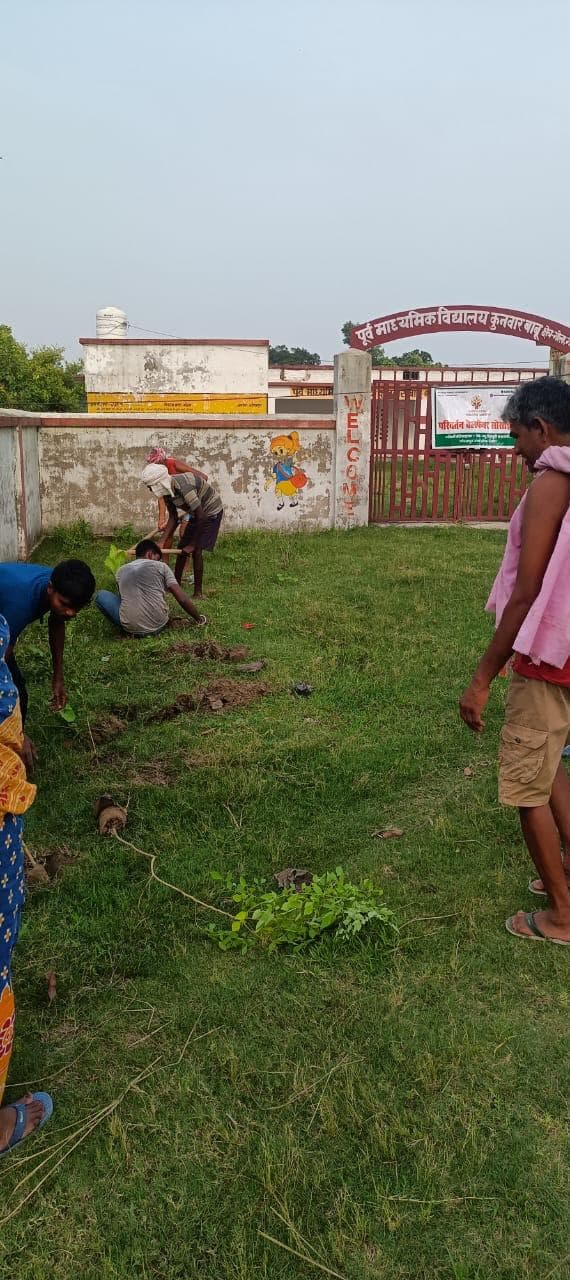 Tree plantation drive by volunteers