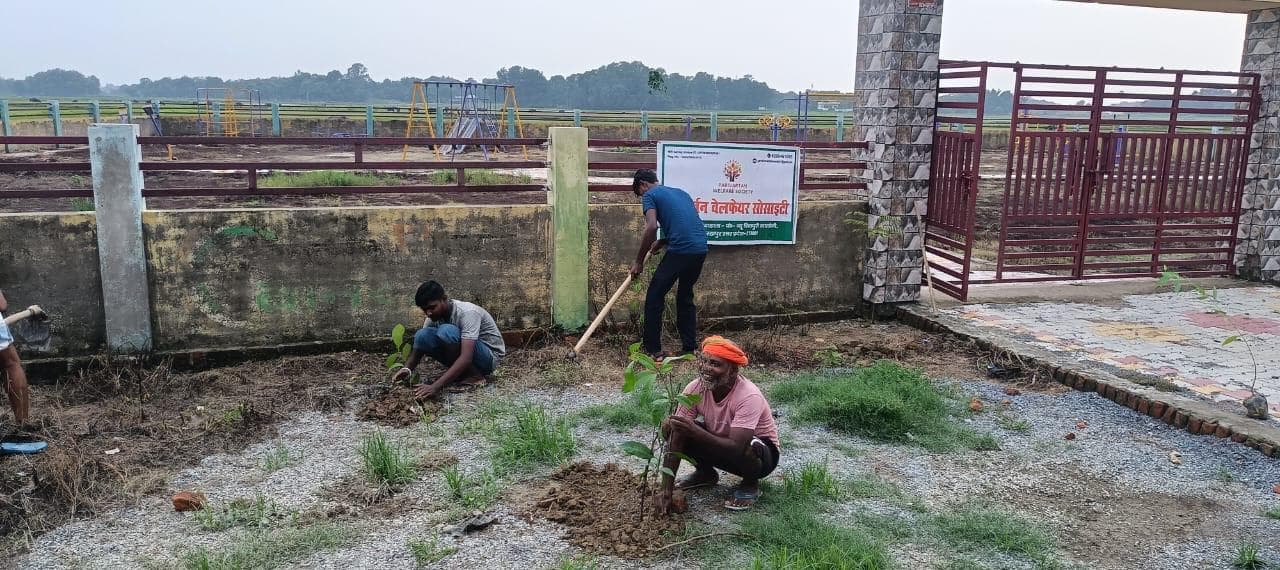 Tree Plantation Seva