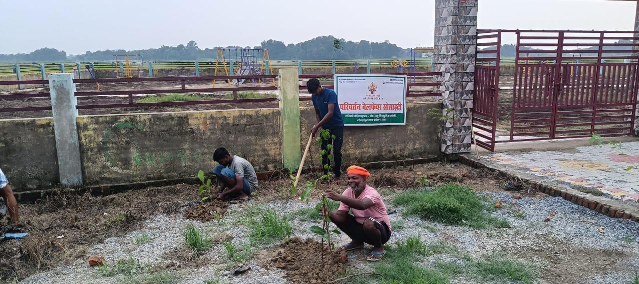Volunteers planting and watering saplings